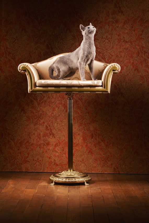 ITALIAN PET FURNITURE11