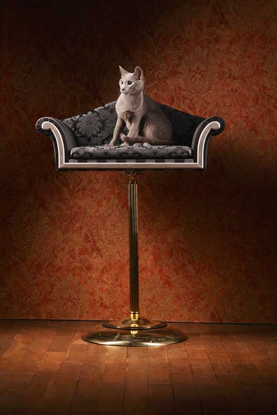 lit de luxe pour animaux de compagnie