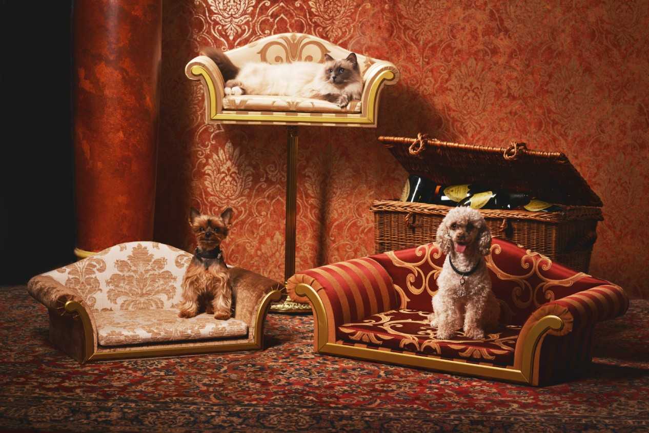 LUXURY PET FURNITURE15